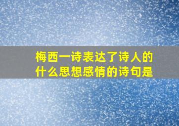 梅西一诗表达了诗人的什么思想感情的诗句是