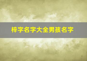 梓字名字大全男孩名字