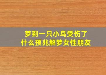 梦到一只小鸟受伤了什么预兆解梦女性朋友