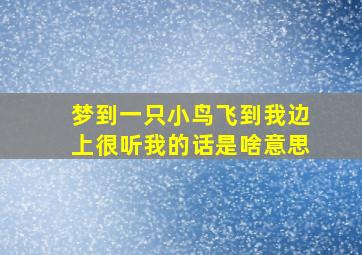 梦到一只小鸟飞到我边上很听我的话是啥意思