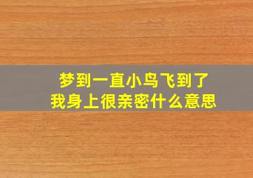 梦到一直小鸟飞到了我身上很亲密什么意思