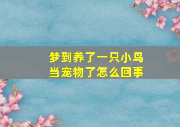 梦到养了一只小鸟当宠物了怎么回事