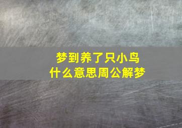 梦到养了只小鸟什么意思周公解梦