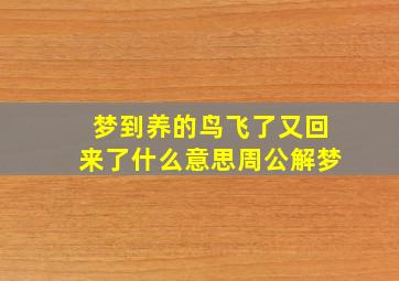 梦到养的鸟飞了又回来了什么意思周公解梦