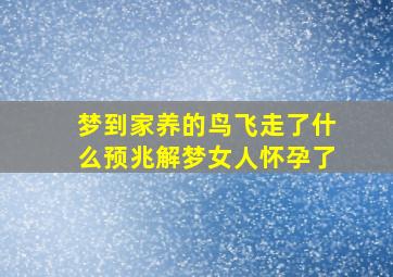 梦到家养的鸟飞走了什么预兆解梦女人怀孕了