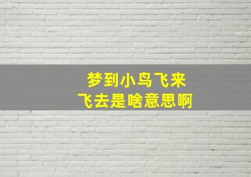 梦到小鸟飞来飞去是啥意思啊