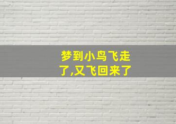 梦到小鸟飞走了,又飞回来了