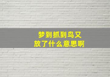 梦到抓到鸟又放了什么意思啊