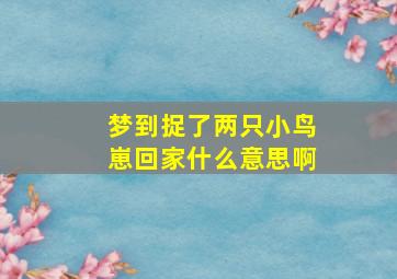 梦到捉了两只小鸟崽回家什么意思啊