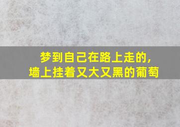 梦到自己在路上走的,墙上挂着又大又黑的葡萄