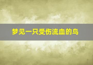 梦见一只受伤流血的鸟