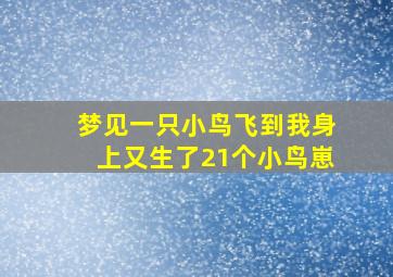 梦见一只小鸟飞到我身上又生了21个小鸟崽