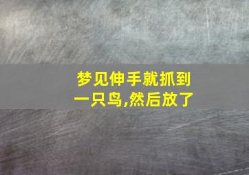 梦见伸手就抓到一只鸟,然后放了