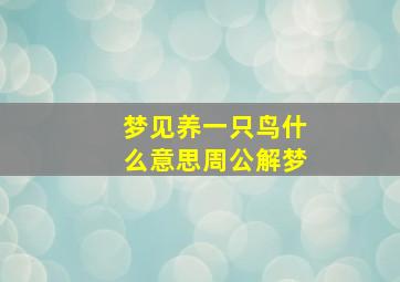 梦见养一只鸟什么意思周公解梦