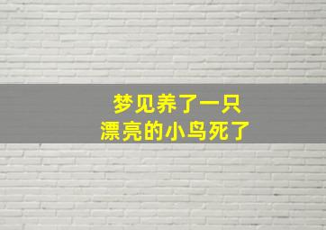 梦见养了一只漂亮的小鸟死了