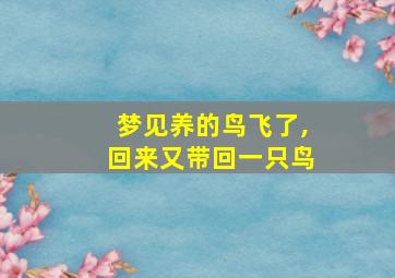 梦见养的鸟飞了,回来又带回一只鸟