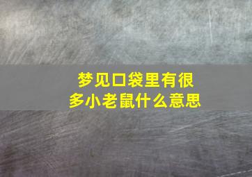 梦见口袋里有很多小老鼠什么意思