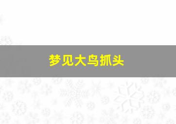 梦见大鸟抓头