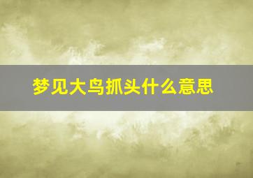 梦见大鸟抓头什么意思