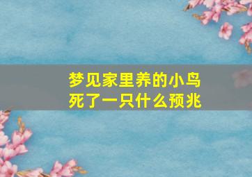 梦见家里养的小鸟死了一只什么预兆