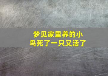 梦见家里养的小鸟死了一只又活了