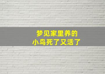 梦见家里养的小鸟死了又活了