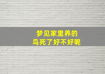 梦见家里养的鸟死了好不好呢