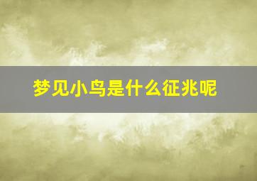 梦见小鸟是什么征兆呢