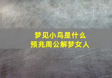 梦见小鸟是什么预兆周公解梦女人