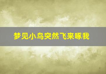 梦见小鸟突然飞来啄我