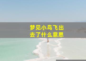 梦见小鸟飞出去了什么意思