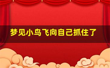 梦见小鸟飞向自己抓住了