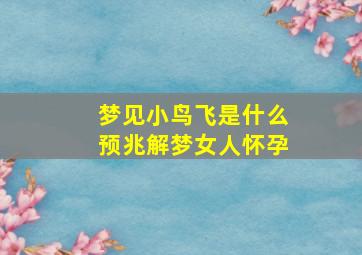 梦见小鸟飞是什么预兆解梦女人怀孕