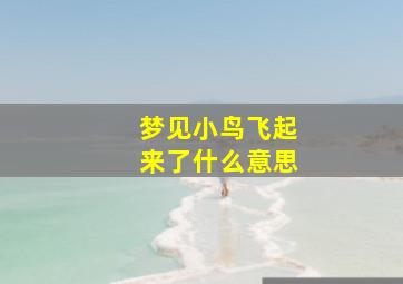 梦见小鸟飞起来了什么意思