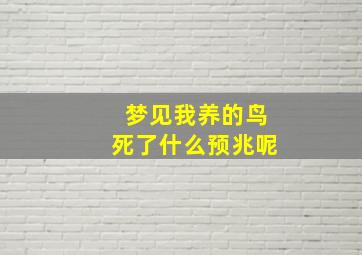 梦见我养的鸟死了什么预兆呢