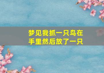 梦见我抓一只鸟在手里然后放了一只