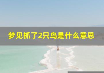 梦见抓了2只鸟是什么意思