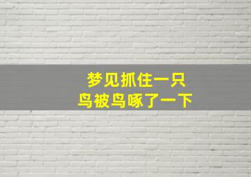 梦见抓住一只鸟被鸟啄了一下