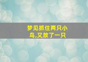 梦见抓住两只小鸟,又放了一只