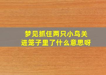 梦见抓住两只小鸟关进笼子里了什么意思呀