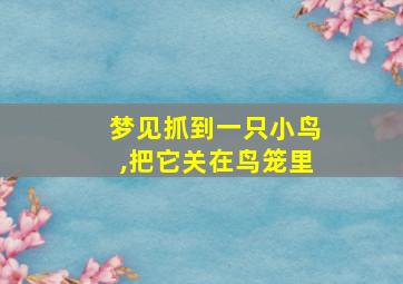 梦见抓到一只小鸟,把它关在鸟笼里