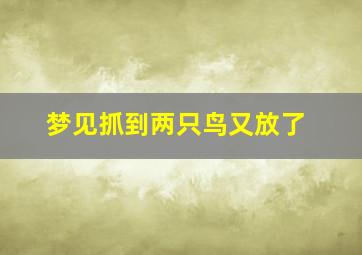 梦见抓到两只鸟又放了