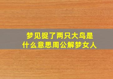 梦见捉了两只大鸟是什么意思周公解梦女人