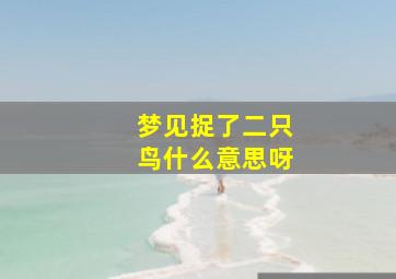 梦见捉了二只鸟什么意思呀