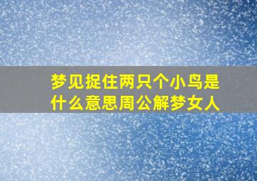 梦见捉住两只个小鸟是什么意思周公解梦女人