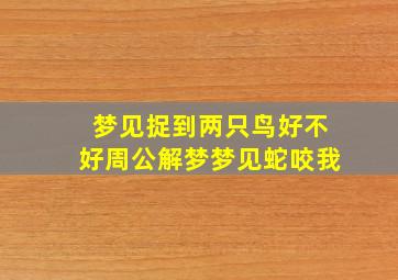 梦见捉到两只鸟好不好周公解梦梦见蛇咬我