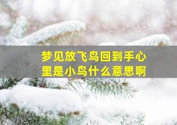 梦见放飞鸟回到手心里是小鸟什么意思啊