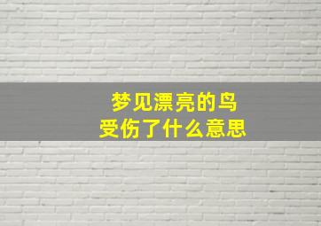 梦见漂亮的鸟受伤了什么意思