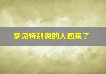 梦见特别想的人回来了