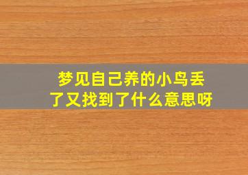 梦见自己养的小鸟丢了又找到了什么意思呀